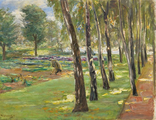 Die Birkenallee im Wannseegarten