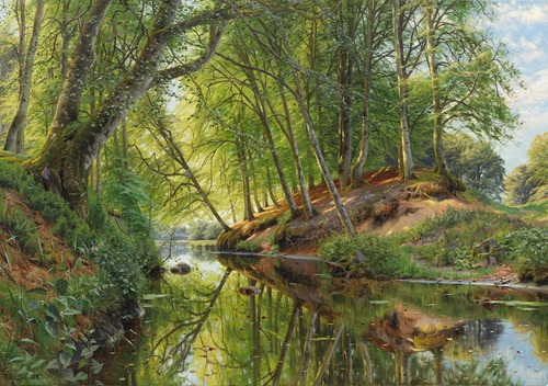 Flußlauf am Waldesrand