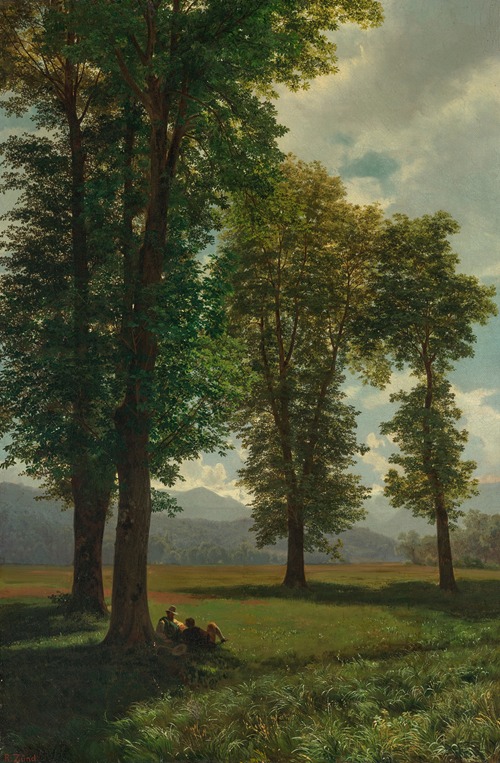 Sonnige Au (Sunny Meadow)
