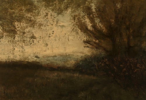 Landschap