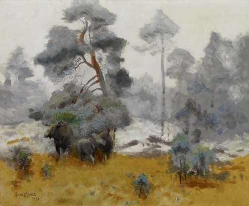 Moose Family Entering a Clearing