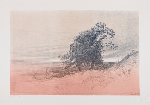 Paysage (Landscape)