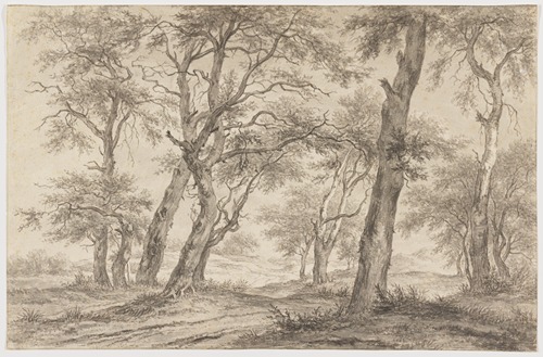 Landscape with Trees near Hillegom