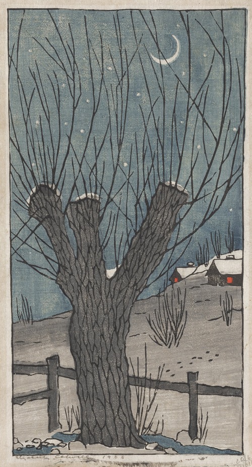 The Willow