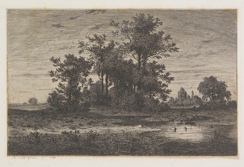 Paysage boisé avec l’ étang