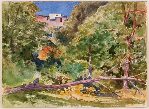 Rustic Landscape