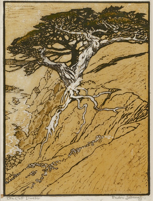 The Cliff Dweller