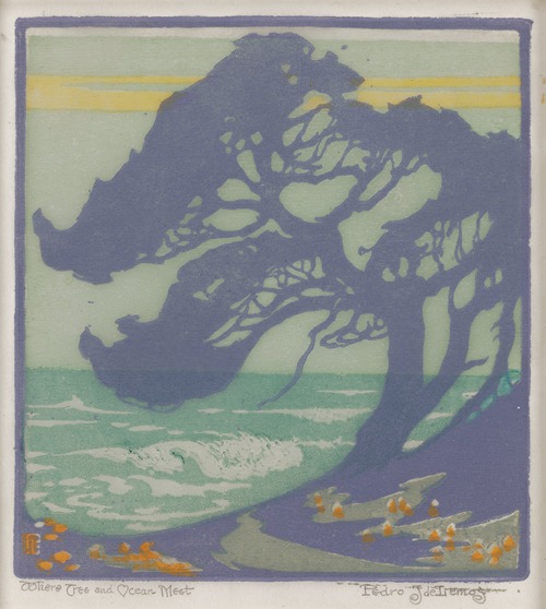 Where Tree and Ocean Meet