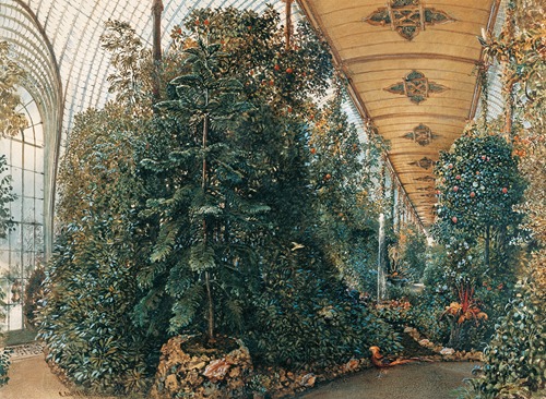 Innenansicht des Palmenhauses von Schloss Eisgrub