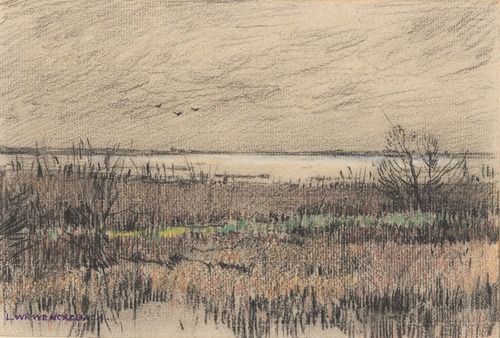 Loosdrechtse plassen
