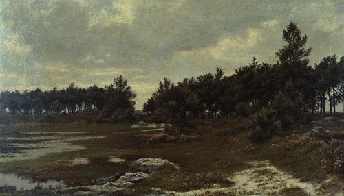 Heath Landscape in the Kempen