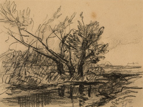 Trees near a Pond