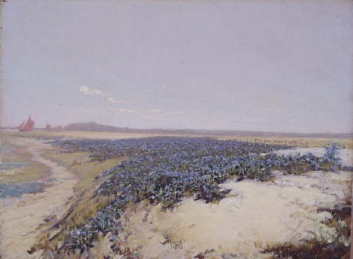 Flower-Covered Dunes