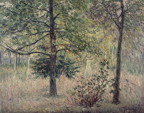 Forest Landscape