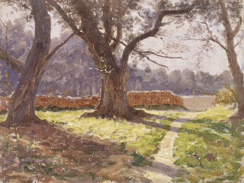 Landscape in Provence