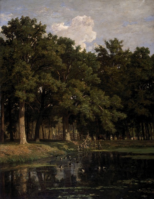 Woodland Pond