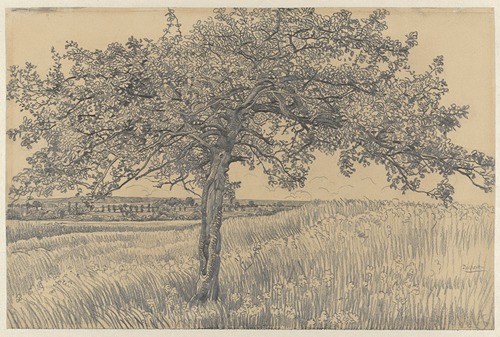 Appelboom in landschap