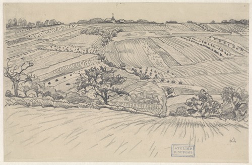 Heuvelachtig landschap met korenvelden