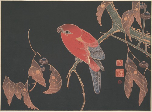 Red Parrot on the Branch of a Tree