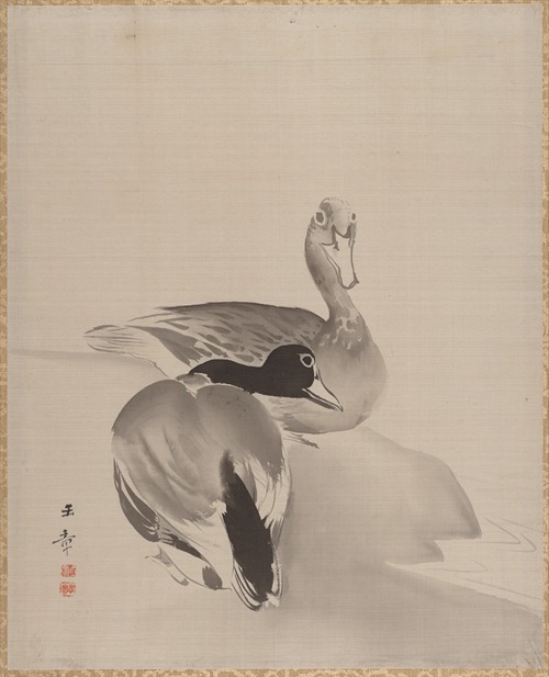Pair of Ducks