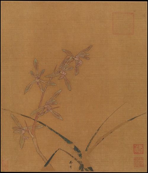 Orchids