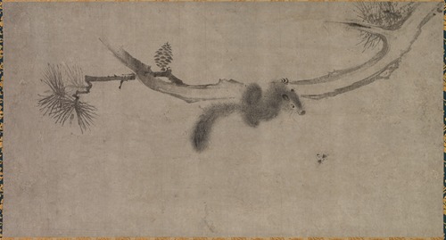 Squirrel on a Pine Branch