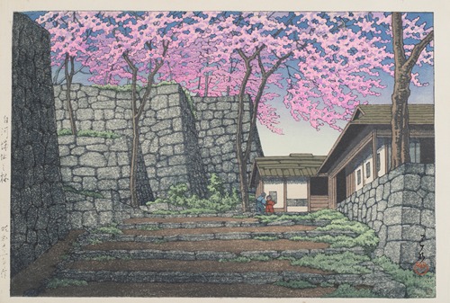 Shirakawajo ato no sakura (Cherry blossoms at the ruins of Shirakawa Castle)