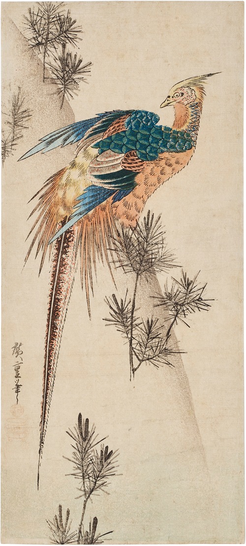 Pheasant and pine shoots in snow