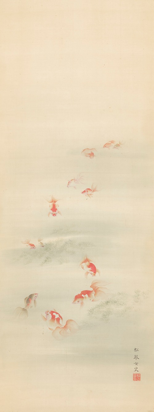 Swimming goldfish