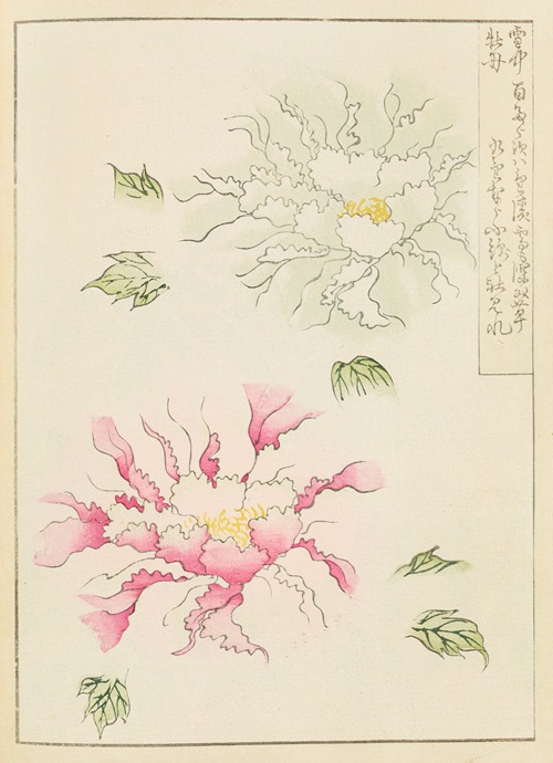 Shin-Bijutsukai Pl.012