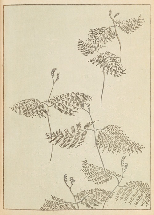 Shin-Bijutsukai Pl.230
