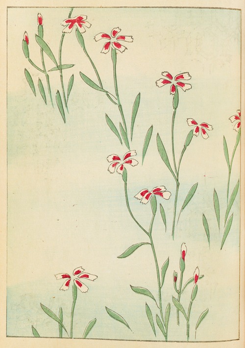 Shin-Bijutsukai Pl.239