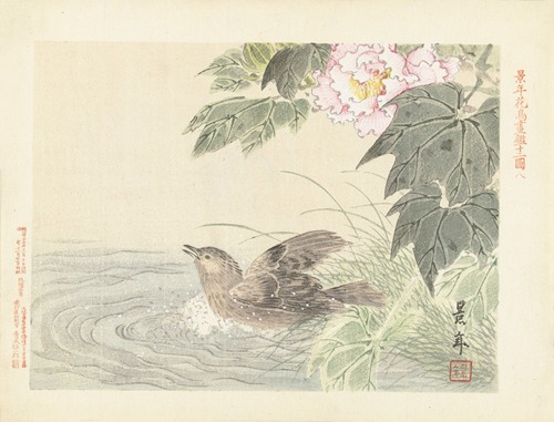 Badende vogel bij roze bloem