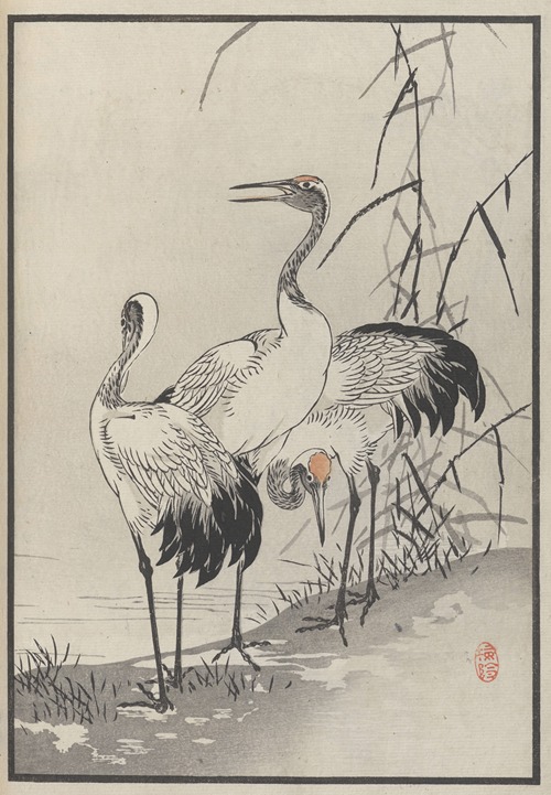 Bairei hyakuchō gafu. Ten Pl.08