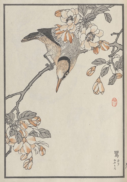 Bairei hyakuchō gafu. Ten Pl.15