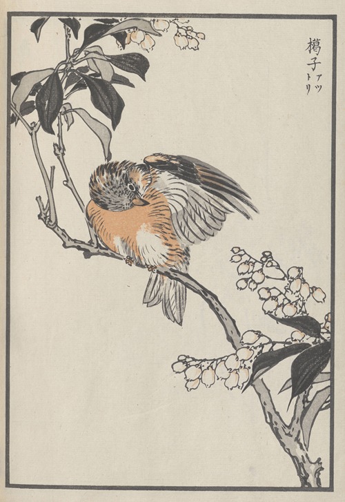 Bairei hyakuchō gafu. Ten Pl.30