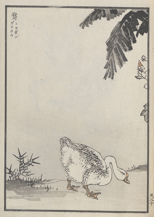 Bairei hyakuchō gafu. Ten Pl.39