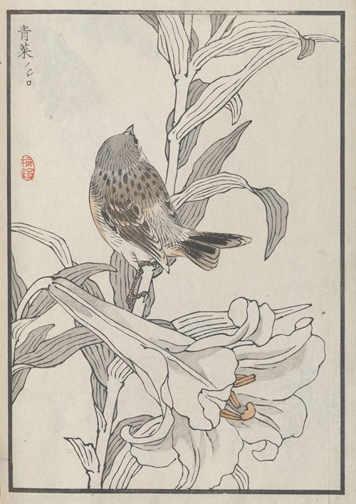 Bairei hyakuchō gafu. Ten Pl.40