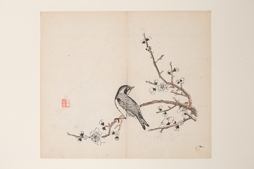 Shi Zhu Zhai Pl.41