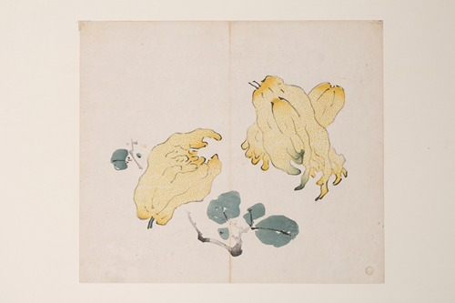 Shi Zhu Zhai Pl.48