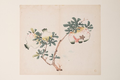 Shi Zhu Zhai Pl.52