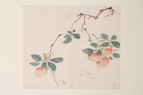 Shi Zhu Zhai Pl.55