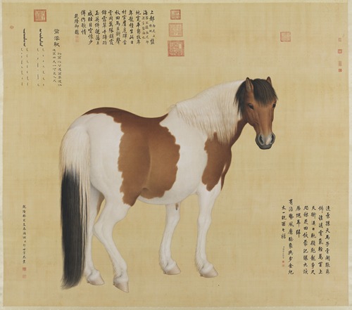 Nieyunshi