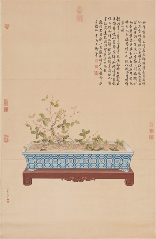 Time-Telling Plant from the West