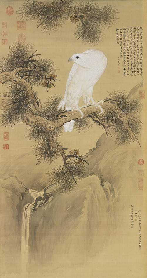 White Bird of Prey