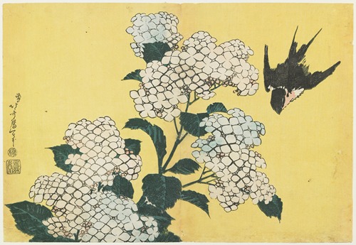 Hydrangeas and Swallow