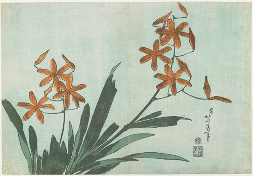 Leopard Lily
