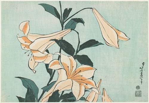 Lilies