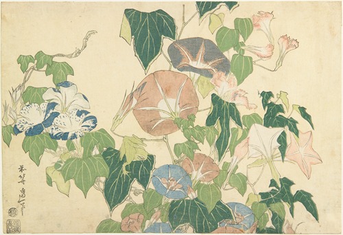 Morning Glories and Tree Frog