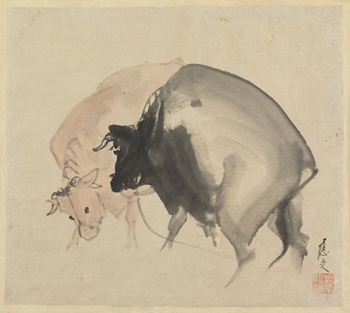 Two Bulls